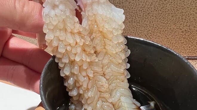 Jukusei Sushi Rita