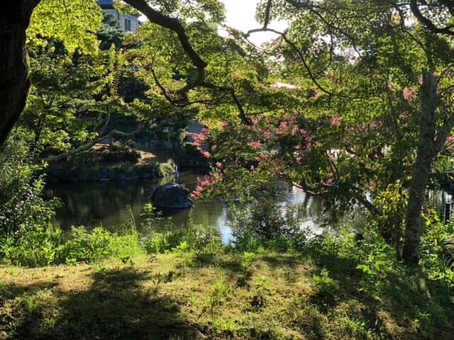 Mizai 4